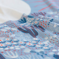 アリゾナサンライズ